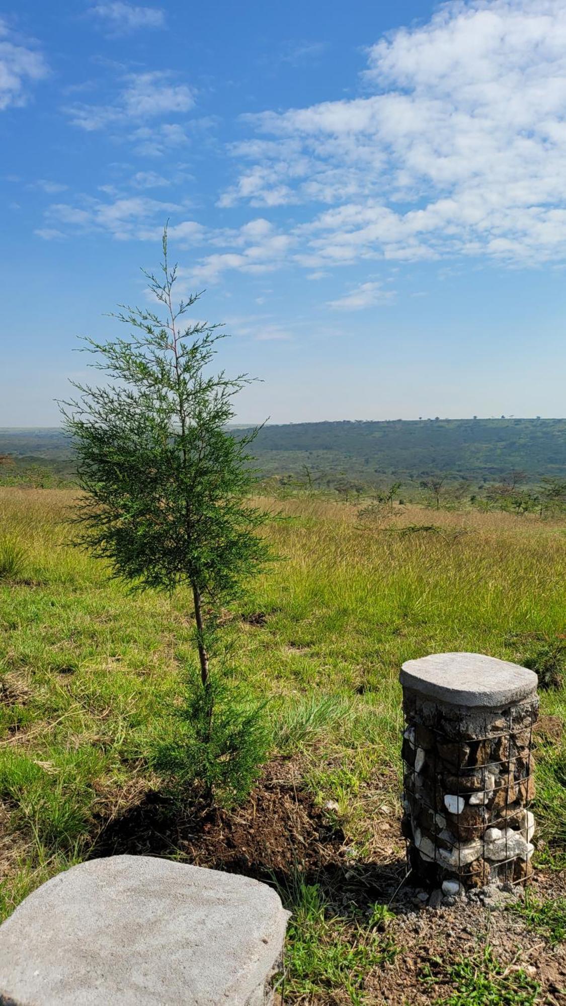 Rockview Cabins - Kajiado Exterior photo