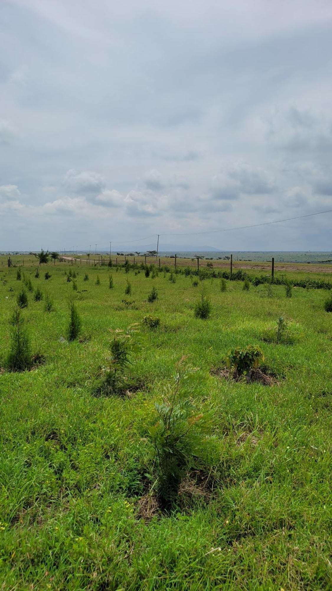 Rockview Cabins - Kajiado Exterior photo