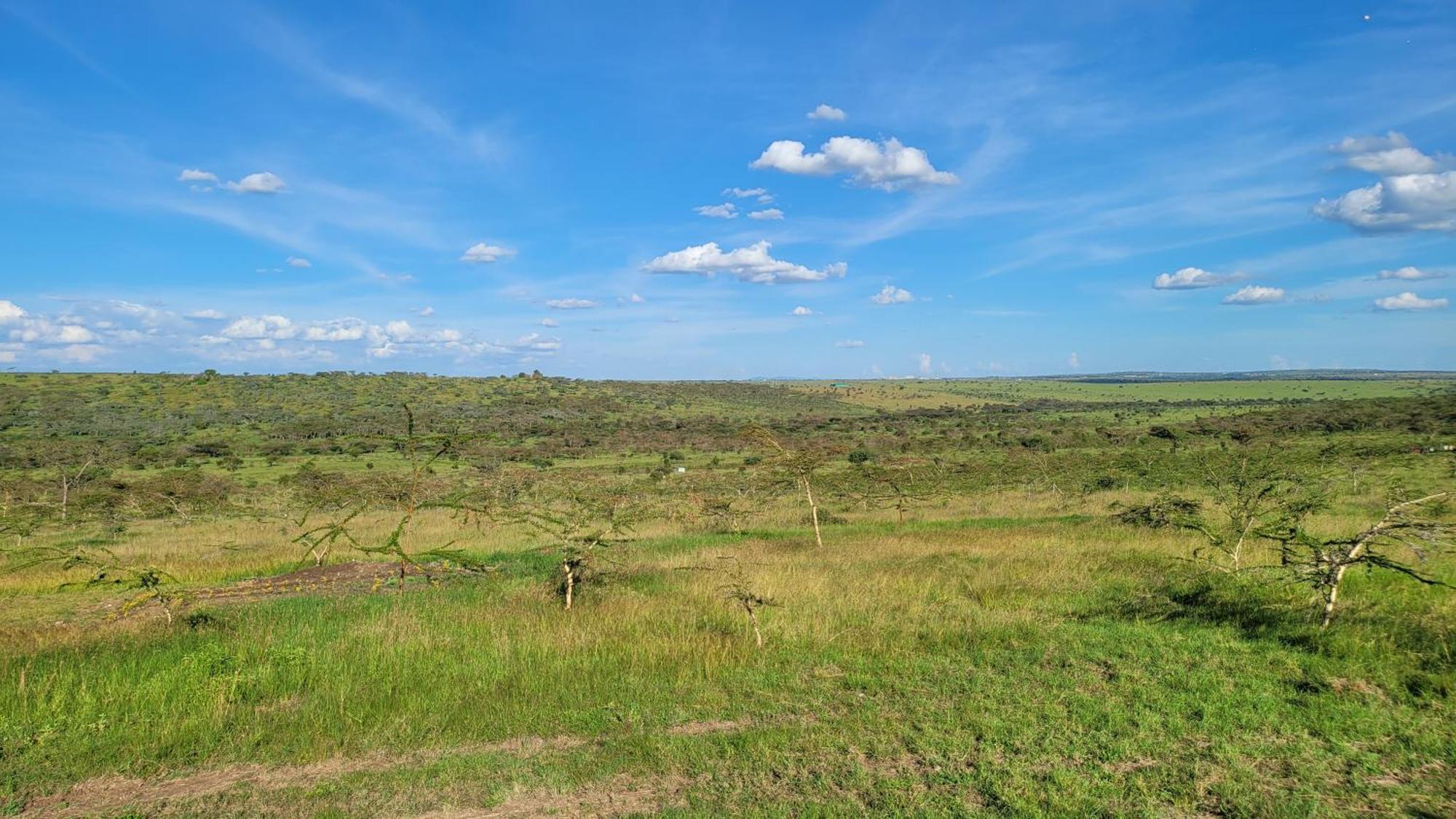 Rockview Cabins - Kajiado Exterior photo